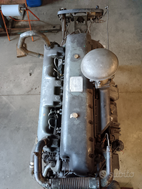 Motore Marino Alfa Romeo