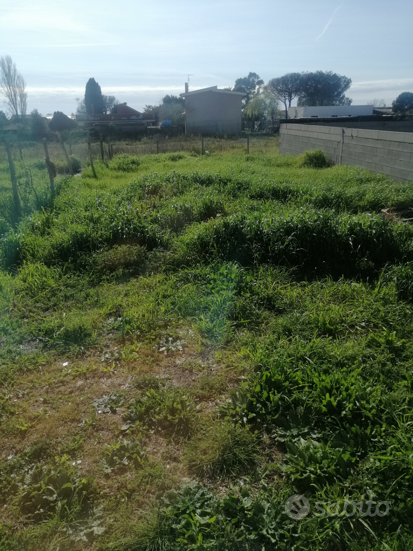 Terreno più contanir - Vista 2