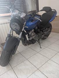 Hornet 500