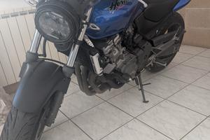 Hornet 500