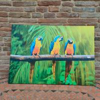 Canvas quadro su tela pappagalli