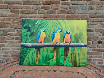 Canvas quadro su tela pappagalli