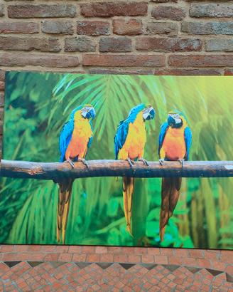 Canvas quadro su tela pappagalli