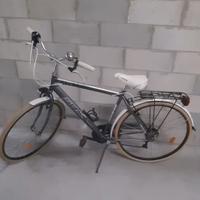 Bicicletta SBK 28" uomo