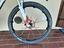 Immagine 5
