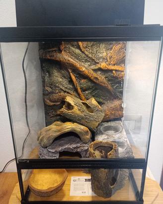 Terrario 30x30x40 Accessoriato