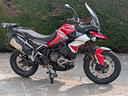 triumph-tiger-900-aragon