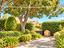 Immagine 11