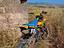 Immagine 1