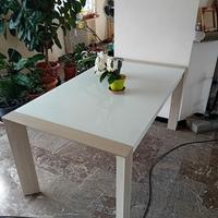 tavolo da pranzo bianco  con piano in vetro