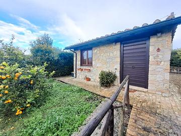 Indipendente a Amelia