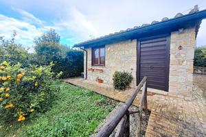 Indipendente a Amelia