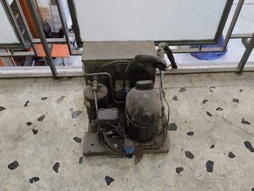 Compressore e motore frigorifero
