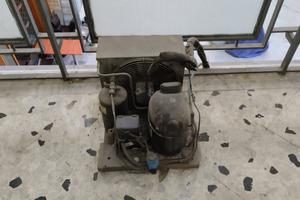 Compressore e motore frigorifero