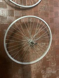 Cerchioni bici