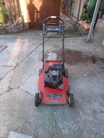 taglia erba a benzina 