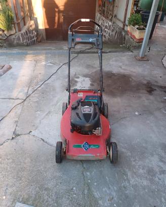 taglia erba a benzina 