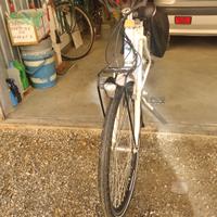 bicicletta a pedalata assistita 