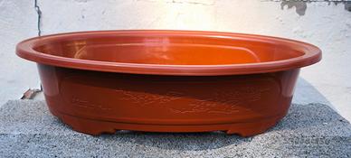 Vaso da coltivazione per bonsai