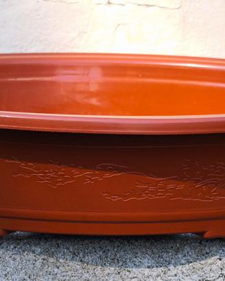 Vaso da coltivazione per bonsai