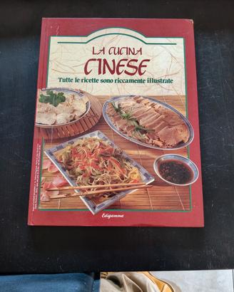 libro di cucina cinese