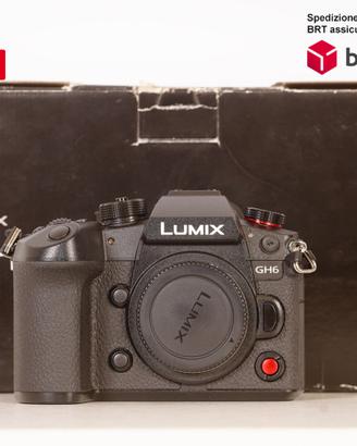 Panasonic Lumix DC-GH6