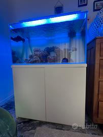 Acquario Marino avviato