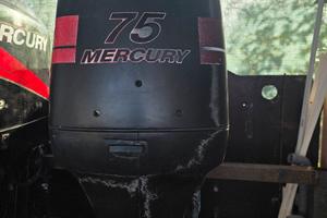 mercury 75