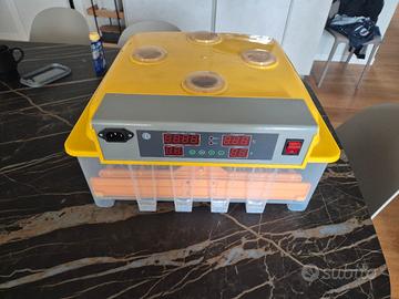 incubatrice mgidea 56 uova 