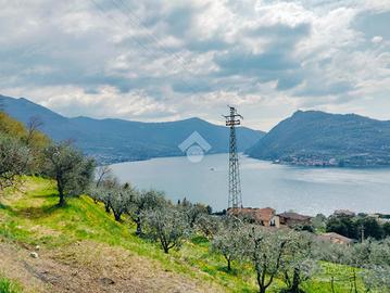 TER. AGRICOLO A MARONE