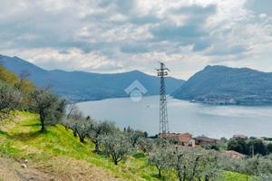 TER. AGRICOLO A MARONE