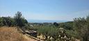 piedimonte-panormico-terreno-agricolo-mq-23-387