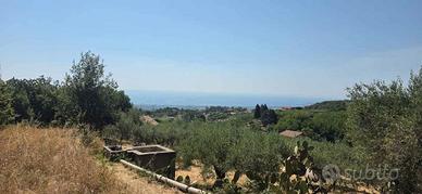 Piedimonte panormico terreno agricolo mq. 23.387