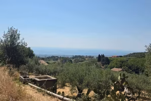 Piedimonte panormico terreno agricolo mq. 23.387