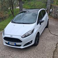 Ford fiesta TENUTA BENE
