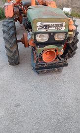 trattore Pasquali