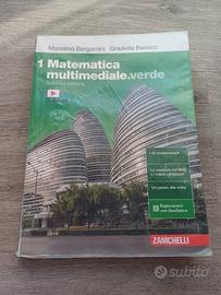 matematica multimediale verde 1