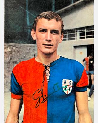 cartolina autografata gigi riva