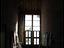 Immagine 11
