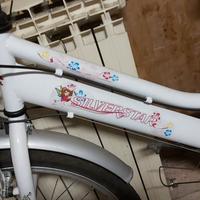 Bicicletta bambina 24 pollici Silverstar
