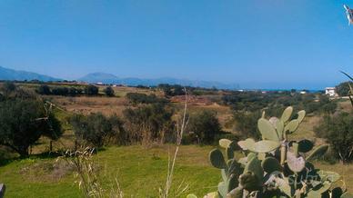 Terreno Agricolo Panoramico con Vista Mare