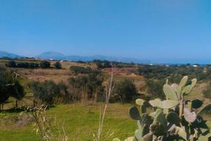 Terreno Agricolo Panoramico con Vista Mare