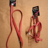 pettorina + guinzaglio per cani