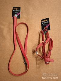 pettorina + guinzaglio per cani