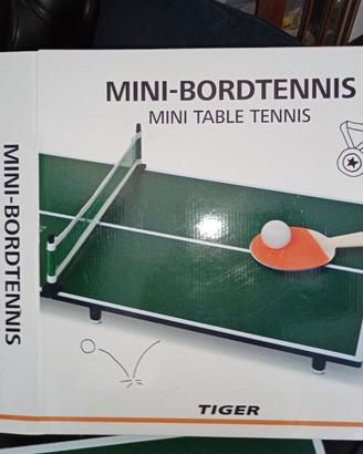 Mini tavolo ping pong
