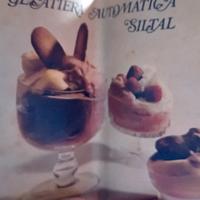 libretto istruzioni della gelatiera vintage anni 6