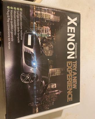 Lampadine  xenon