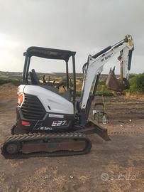 Bobcat