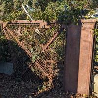 cancello in ferro due ante anni 50