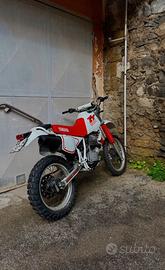 TT600 59x ASI
